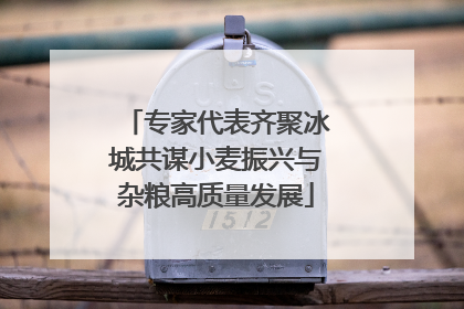 专家代表齐聚冰城共谋小麦振兴与杂粮高质量发展